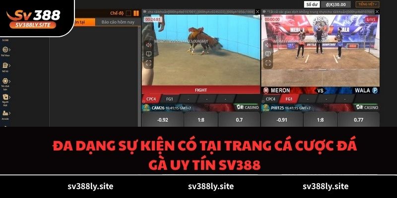 Đa dạng sự kiện có tại trang cá cược đá gà uy tín SV388