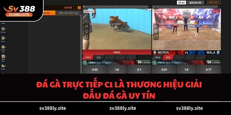 Đá gà trực tiếp C1 là thương hiệu giải đấu đá gà uy tín