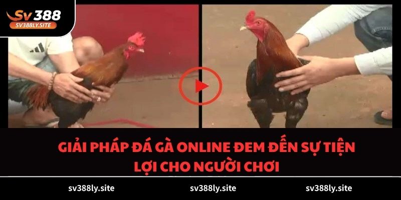 Giải pháp đá gà online đem đến sự tiện lợi cho người chơi