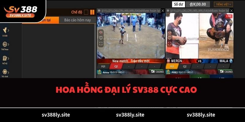 Hoa hồng đại lý SV388 cực cao