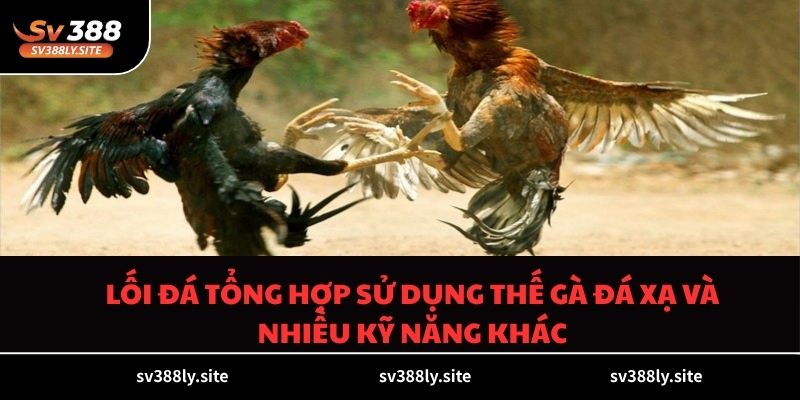 Lối đá tổng hợp sử dụng thế gà đá xạ và nhiều kỹ năng khác