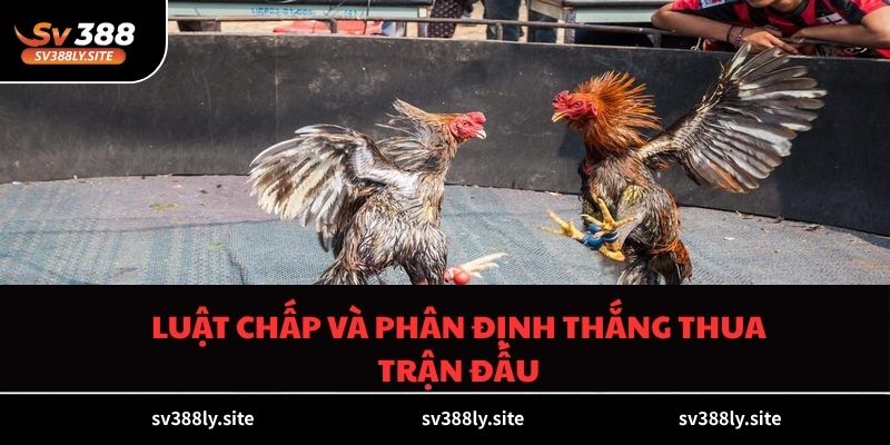 Luật chấp và phân định thắng thua trận đấu