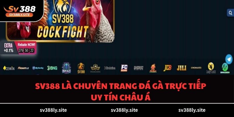 SV388 là chuyên trang đá gà trực tiếp uy tín châu Á