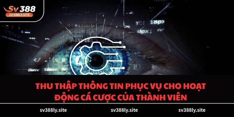 Thu thập thông tin phục vụ cho hoạt động cá cược của thành viên