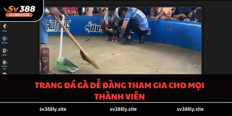 Trang đá gà dễ dàng tham gia cho mọi thành viên