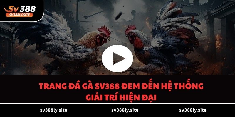 Trang đá gà SV388 đem đến hệ thống giải trí hiện đại