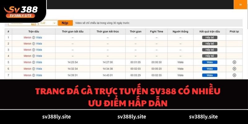 Trang đá gà trực tuyến SV388 có nhiều ưu điểm hấp dẫn